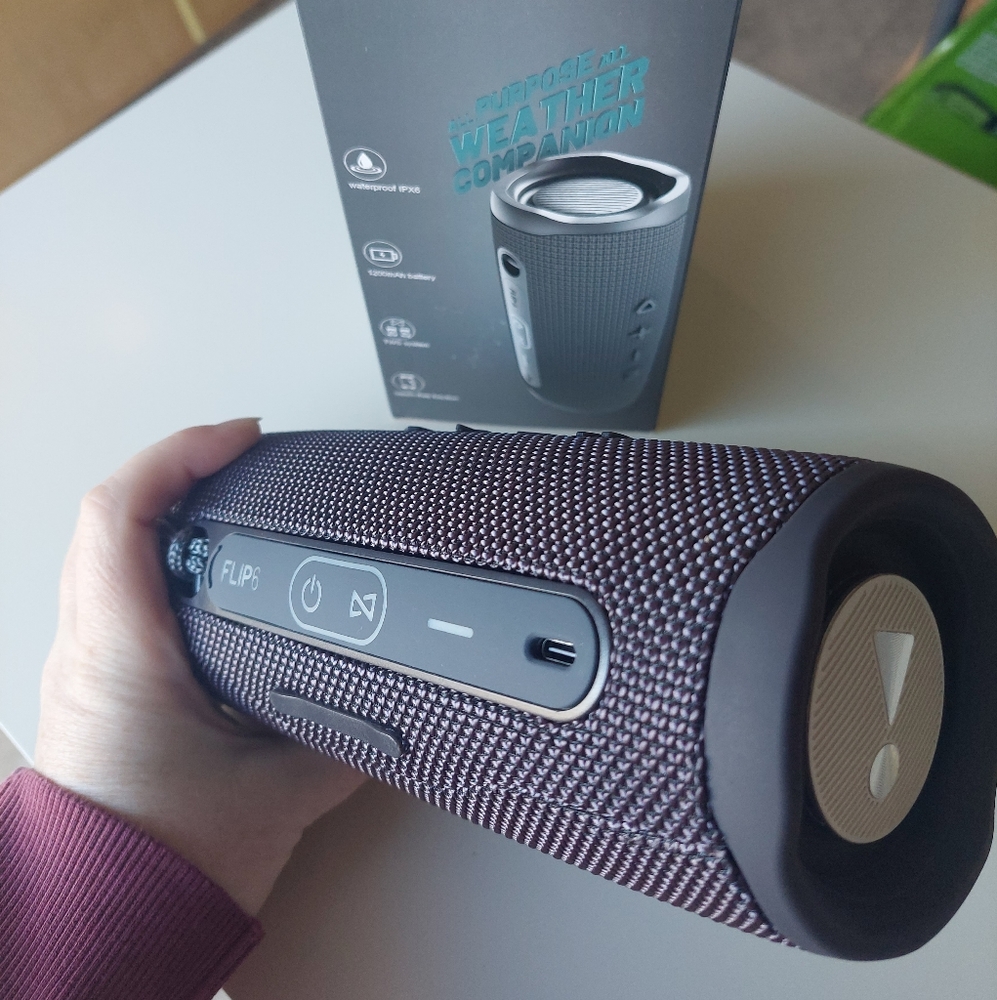 Flip 6 Bluetooth Speaker GREY